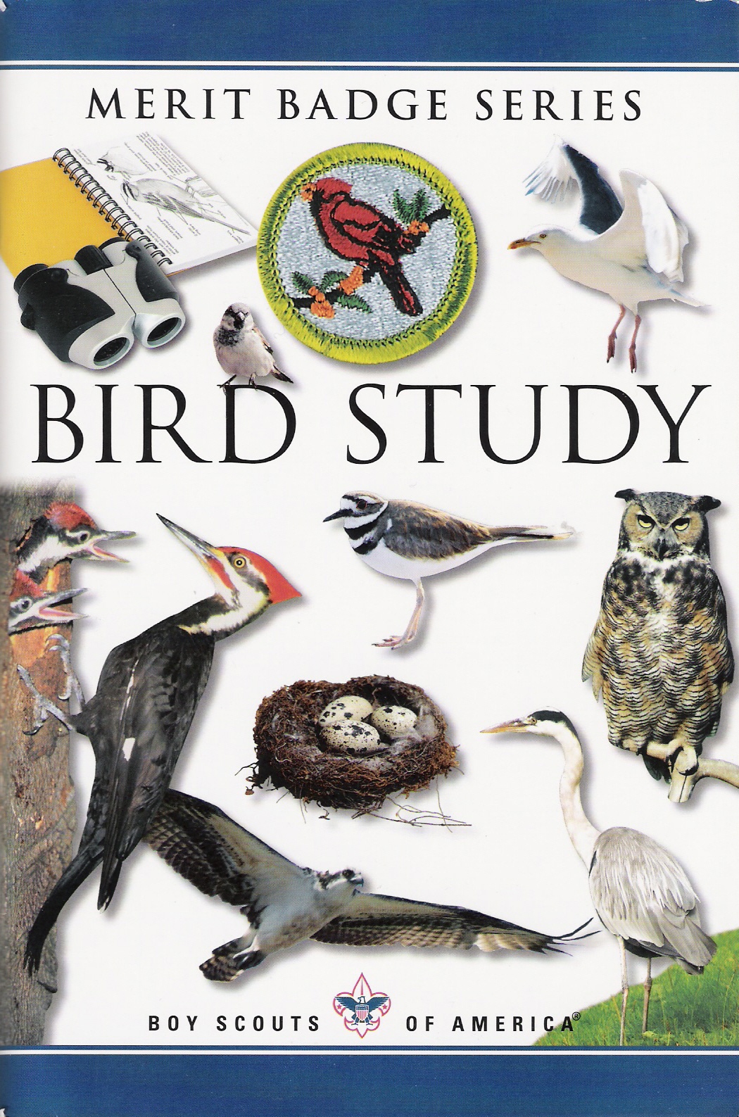 2008birdstudymbbook.jpg